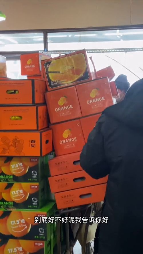 打造專業工廠店食品主播 系統化培訓賦能新零售