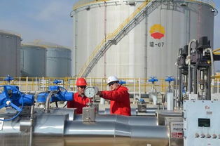 AR技術(shù)在管道線(xiàn)路巡檢中的應(yīng)用與管道安裝技術(shù)咨詢(xún)