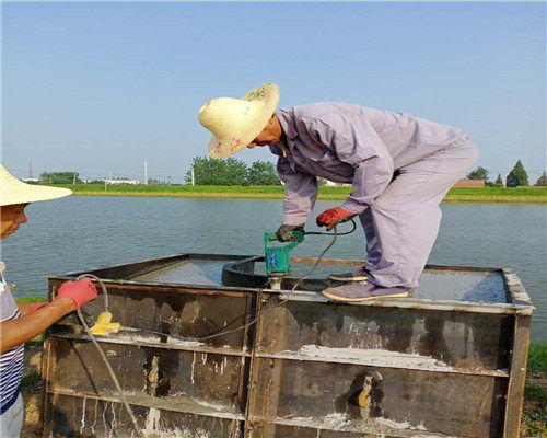 連云港市管道水下安裝技術(shù)咨詢(xún) 核心要點(diǎn)與專(zhuān)業(yè)服務(wù)指南